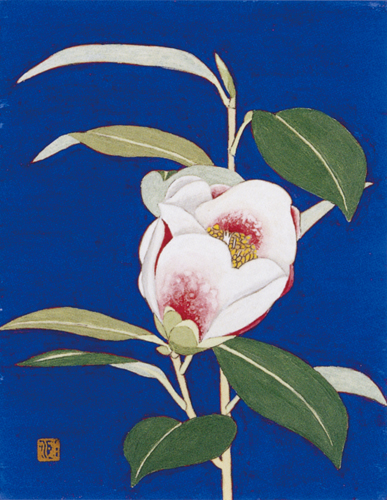ツバキ科で11月から春にかけて咲く早咲きの椿で桃の実の様な美しいつぼみをつけ、桃色紅ぼかしの一重のあざやかな風情で開花する。<br />
「中国の伝説中の仙女（西王母）が3000年に一度、実のなる桃を漢の武帝に与えたというカラモモの異称。　広辞林による」<br />
西王母は金沢地方で広く栽培されている。