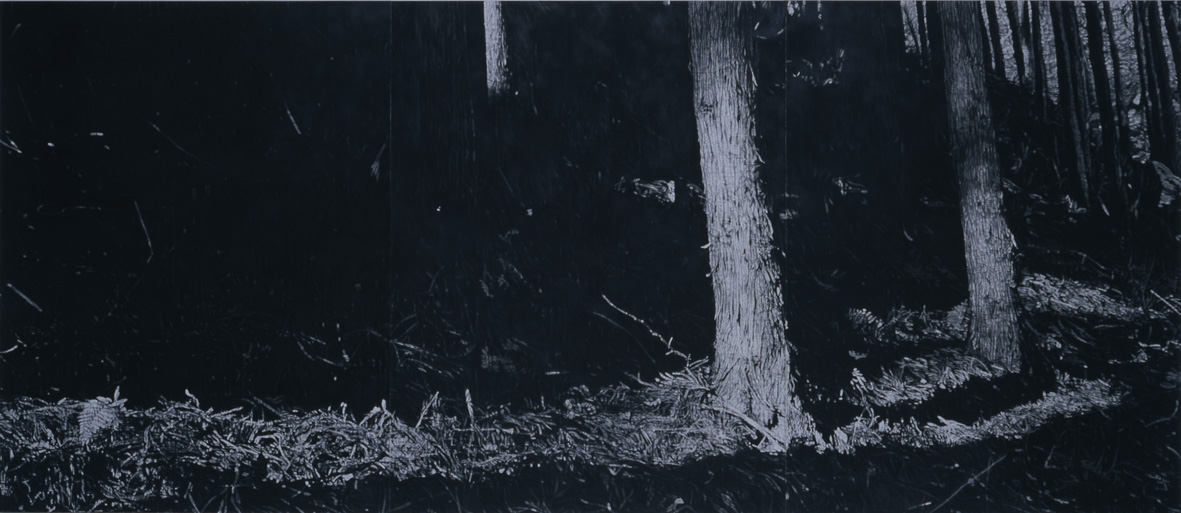 本田健「山あるき―十一月」2006年―09年　チャコールペンシル、紙　260×600cm　岩手県立美術館蔵