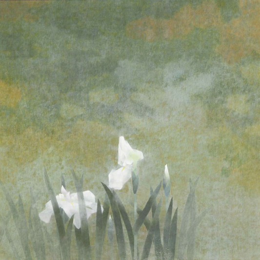 「白い花」2011年　95.5×95.5cm