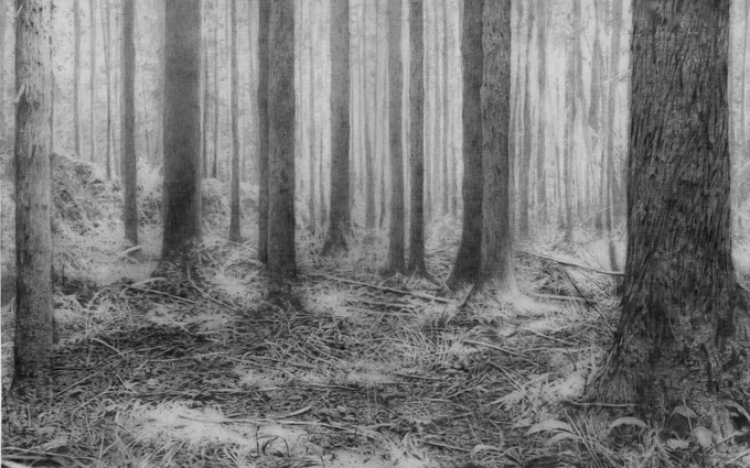 渡部裕二《forest in deep 64》2011年　鉛筆・紙 