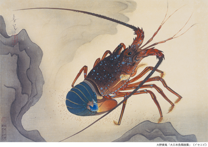 姫路市立美術館連作の小宇宙 ピカソの肖像画から大日本魚類画集まで