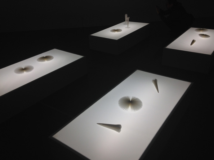 神奈川県民ホールギャラリー「5Rooms － 感覚を開く5つの個展」展示風景　©Takeru KORODA