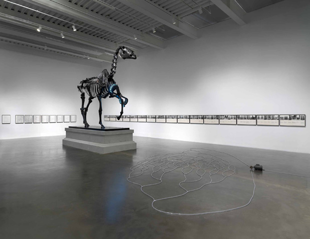 ニュー・ミュージアムのハンス・ハーケ「すべては繋がっている」展の4階会場