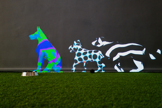 《メタバース・ペットショップ》の「ドッグ・パーク」は、画廊の壁に映写された映像の中で他の犬たちと自分の犬が一緒に遊ぶ様子を見ることができる。 写真提供：NowHere 
