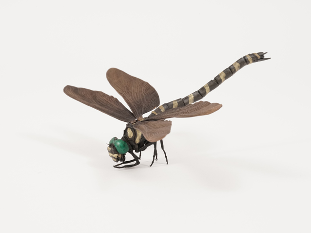 《自在鬼蜻蜓》2020年11.5×12.0×4.0㎝　銅、真鍮、青銅  レントゲン藝術研究所準備室©2022