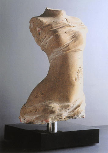 今の私に早朝ウォーキングは欠かせない。お陰で道端の野草や鳥たちにも目がいくようになった。コースは川沿いの自然を生かした河川敷で、雑草やススキが繁茂している。それらは四季の移り変わりの中で、世間のざわめきとは無縁に生き生きと風にそよいでいて爽やかである。