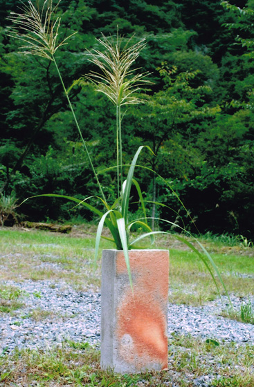 はじめて、友人の個展にて穴窯で焼かれた陶器に魅了され、それまでの電気窯や灯油窯に満足できず、丹沢に穴窯を作り、信楽や伊賀の土を使い、山梨から取り寄せた赤松の薪で焼いている。<br />
丹沢の山間に咲く野の花う焼き締めの花器に生けると、何とも言えない心の落ち着きを感じる。
