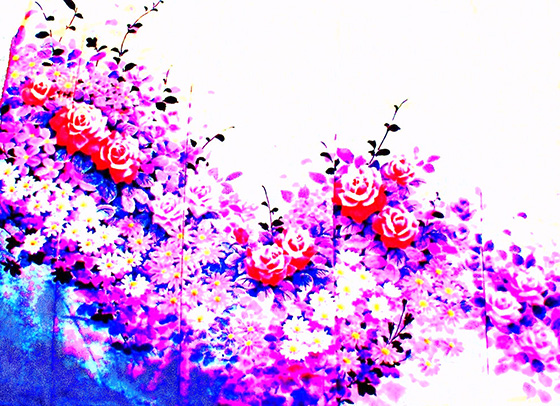 「描絵（かきえ）とは、被服に着色料を用いて意匠を直接、筆類で描く技法」を指す名称の正統語。同語の初見は、室町期の文献『看聞日記（かんもんにっき）』に所載してある。描絵の俗称は、素描（すがき）・無線友禅（むせんゆうぜん）・描染（かきぞめ）など。二つの花を取り合わせる主な手法には、同種で色違いによって無難にまとめ上げる仕方と、異種を併せて作風の妙味を表すのがある。薔薇は一般に洋花の代表と見なされ、菊は中国から渡来したとはいえ、日本の秋を代表する花としての扱いを受けている。その組み合わせによって視覚的な面白みを醸し出せればと試みた。