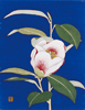 ツバキ科で11月から春にかけて咲く早咲きの椿で桃の実の様な美しいつぼみをつけ、桃色紅ぼかしの一重のあざやかな風情で開花する。<br />
「中国の伝説中の仙女（西王母）が3000年に一度、実のなる桃を漢の武帝に与えたというカラモモの異称。　広辞林による」<br />
西王母は金沢地方で広く栽培されている。