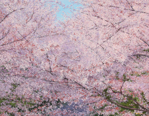 生命の息吹を感じる淡い紅色の美しさ、深さに魅入られて何年経ったことだろう。<br />
陽浴びて様々な表情を見せてくれる。春の嬉しい便りを運び、時には艶かしい、<br />
海を渡って遠い地でも愛でられるこの花を描き続ける私がここにいる。